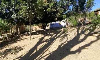 Imagem: Vendo essa chácara