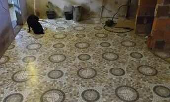 Imagem 2: Casa na Estrutural Santa Luzia