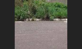 Imagem: Vendo lote 303 Sul 300.000,00