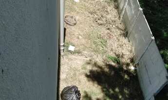 Imagem 6: CASA A VENDA Casa com 2 dormitórios