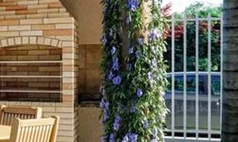 Imagem 4: Apartamento 2 quartos em Residencial Itaparica