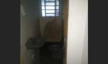 Imagem 3: Cada Jardim pavioti