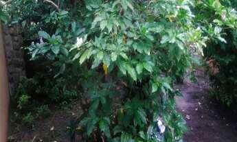 Imagem 4: Casa para venda tem 10 metros quadrados com 4 quartos em Boqueirão - Saquarema - RJ