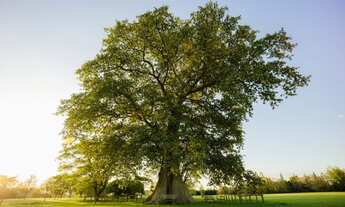 Imagem 7: Lote/Terreno Reserva Itanhangá em Indaiatuba SP