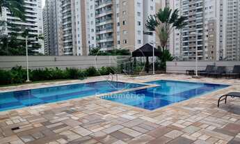 Imagem 5: LONDRINA - Padrão - Gleba Fazenda Palhano