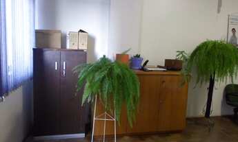 Imagem 3: Conjunto/Sala em Centro Histórico