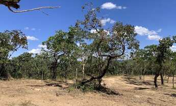 Imagem 3: Chácara 9000m², Energia, Terra Boa, Vista Maravilhosa, Arborizada, 4km de Aragoiânia