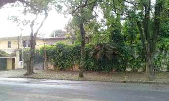 Imagem 3: Casa / Área Jardim das Paineiras