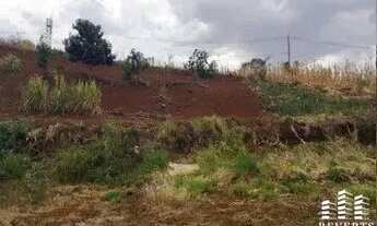 Imagem: Terreno à Venda no Jardim Nova Altinópolis