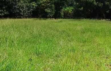 Imagem 6: Chácara em Pontalina