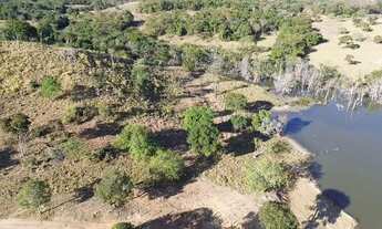 Imagem 6: Fazendinha de 60 hectares rica em água com casa excelente