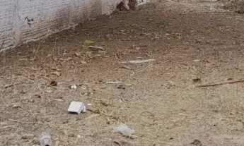 Imagem 2: Terreno para venda, Areão, Cuiabá