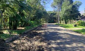 Imagem: Terreno à Venda em Canela!
