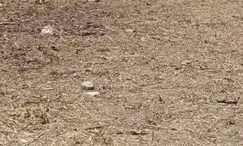 Imagem 6: Terreno para venda tem 180 metros quadrados em Itaipu - Niterói - RJ