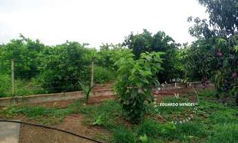 Imagem 2: Chácara com13.000 m², povoado do Trevo Zé Rosário, 14 km da Igrejinha