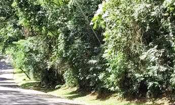 Imagem 7: Terreno à venda em Roseira - SP