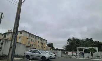 Imagem: Oportunidade Única em ARAUCARIA - PR Tipo