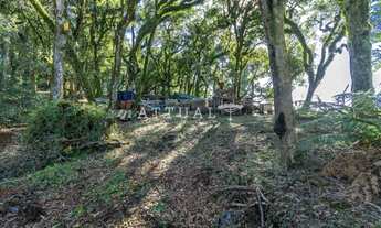 Imagem 6: LINDO TERRENO NO CONDOMÍNIO QUINTA DA SERRA