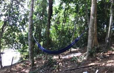 Imagem 5: Vendo terreno no tarumã comunidade Jeferson Perez