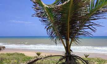 Imagem: TERRENO NA PRAIA / PORTO DE SAUÍPE- BA