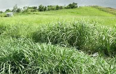 Imagem 5: Terreno em Condomínio para Venda em Piracaia, Represa