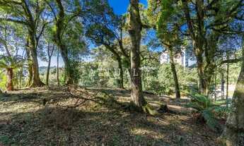 Imagem 7: LINDO TERRENO NO CONDOMÍNIO QUINTA DA SERRA