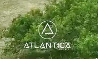 Imagem 6: Atlântica Imóveis tem excelente lote à venda na Lagoa, Macaé/RJ