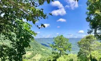 Imagem 7: Sítio / Chácara para Venda em Nova Petrópolis, Linha Pirajá Baixa