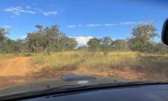 Imagem: Fazenda a venda em Ipameri - Goiás!!!