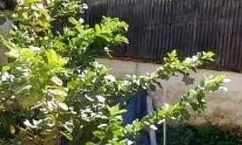 Imagem 6: Salão à venda, 93 m², avenida movimentada, Santa Cruz - Itatiba/SP