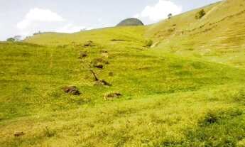Imagem 6: Venda-se está fazenda de 88 Alqueires no município de Mimoso do Sul/ES
