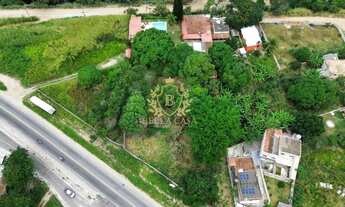 Imagem 3: Chacará com 4,9 hectares - Ponte dos Leites - Araruama/RJ
