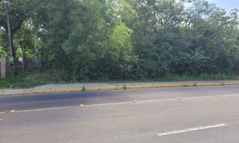 Imagem 7: Imóvel para venda tem 4794 metros quadrados em Barnabé - Gravataí - RS