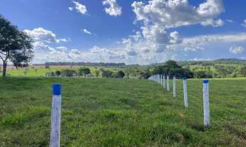 Imagem 6: Chácara em Inhumas