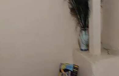 Imagem 5: Excelente Oportunidade de Aluguel