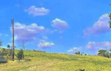 Imagem 3: FAZENDA - PARQUE VALINHOS - SP