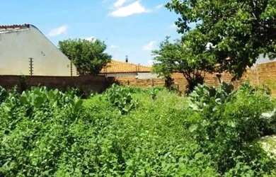 Imagem 3: Terreno para alugar com 150,00 metros quadrados no HORTO - Teresina - Piauí