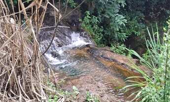 Imagem 3: Sítio situado em Jequiríça-Bahia