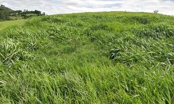 Imagem 6: Arrendamento Ibaiti-Pr