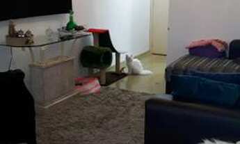 Imagem 6: Apartamento 2 dormitórios mobiliado (alto padrão) ou SEM mobília