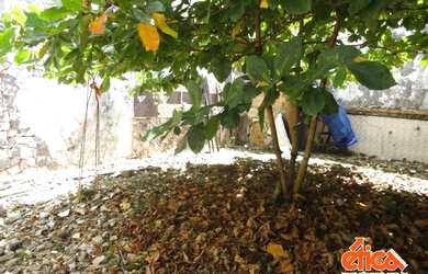 Imagem 3: TERRENO MEDINDO 110,00 M²