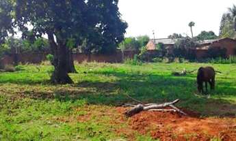 Imagem 6: Oportunidade de ter sua chácara