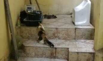 Imagem 7: Kitnet para Venda em Rio de Janeiro, Penha Circular, 1 dormitório, 1 banheiro