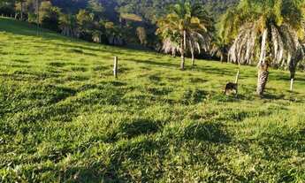 Imagem 2: Fazenda Município de Heitorai - Go<br>22 Alqueires