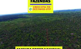 Imagem 7: Fazenda em Luzimangues