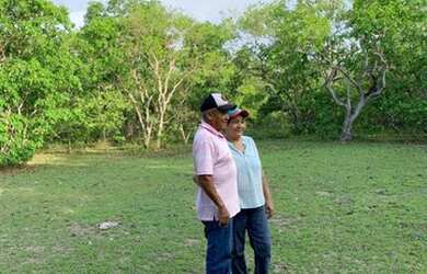 Imagem 3: Vendo fazenda na Barraria TO/MA