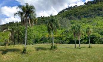 Imagem 5: Sítio à venda, 21860 m² por R$ 836.000,00 - Vale das Colinas - Gramado/RS