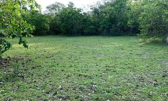 Imagem 2: Vendo fazenda na Barraria TO/MA