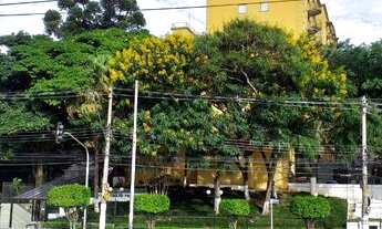 Imagem 3: Belíssimo Apto para venda tem 60 metros quadrados com 3 quartos em Vila das Belezas - São