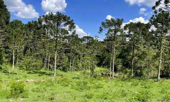 Imagem 4: Chácara em Urubici